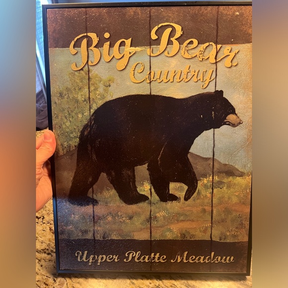 Set of 2 bear pics 🐻 - Picture 4 of 5